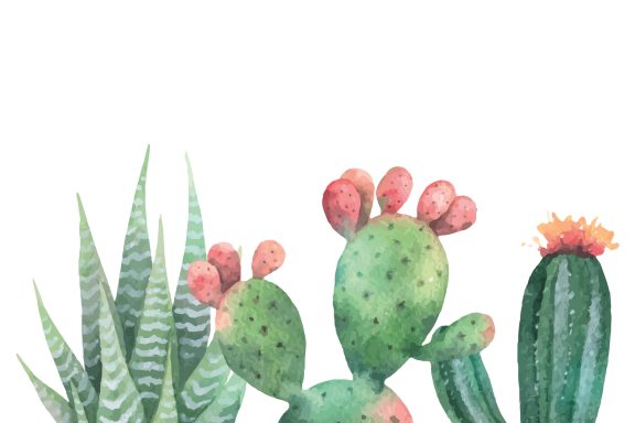 Cactus en fleurs