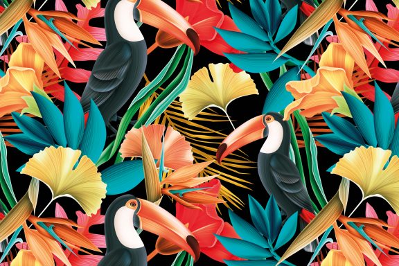 Toucans