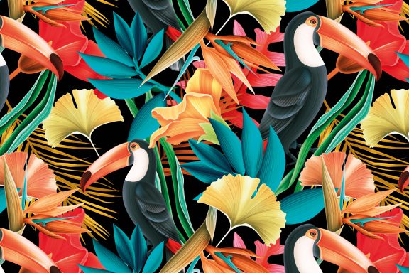 Toucans