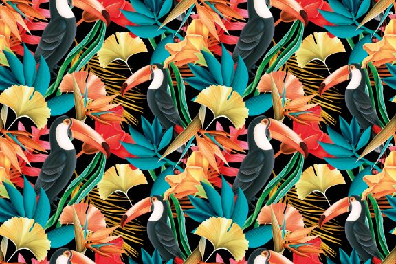 Toucans