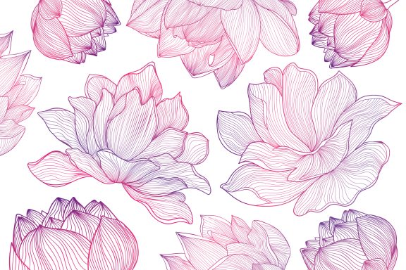 Lotus art déco rose