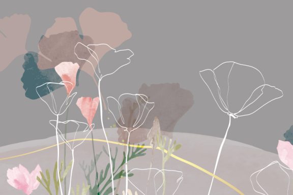 Coquelicots graphiques gris