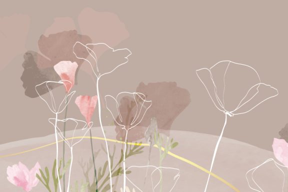 Coquelicots graphiques taupe